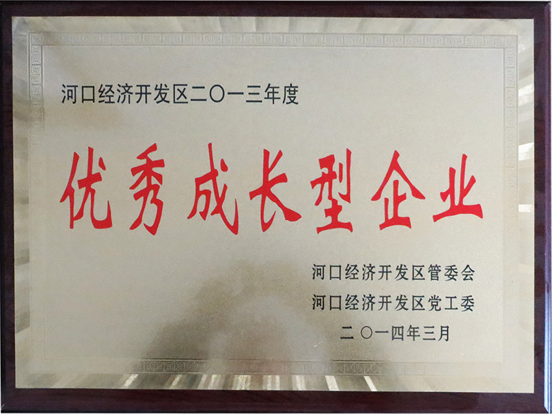 SY-優秀成長企業